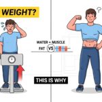 Why Am I Gaining Weight After Starting the Gym? (The Paradox Explained)